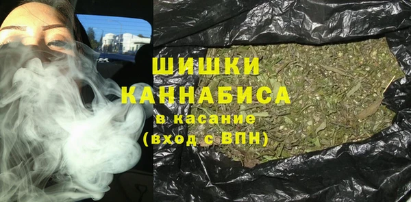 молекула духа Дмитровск