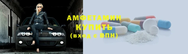 стафф Елизово