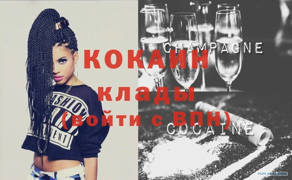 стафф Елизово