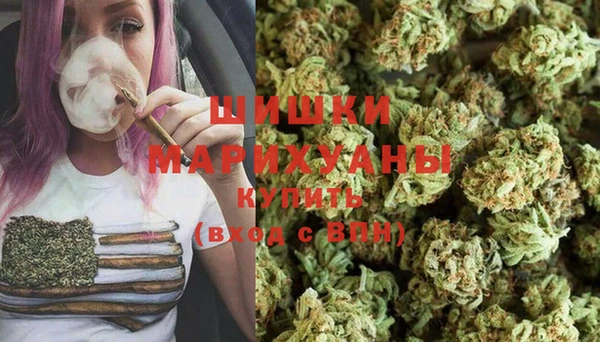 стафф Елизово