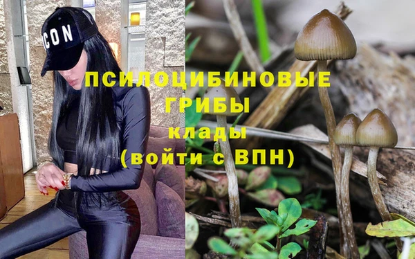 дмт Видное