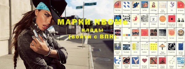 стафф Елизово