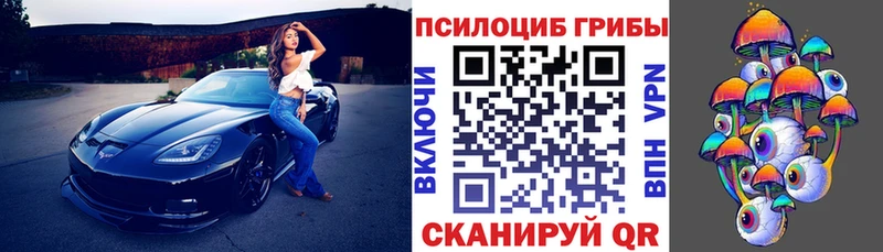 площадка Telegram  Енисейск  Галлюциногенные грибы GOLDEN TEACHER 