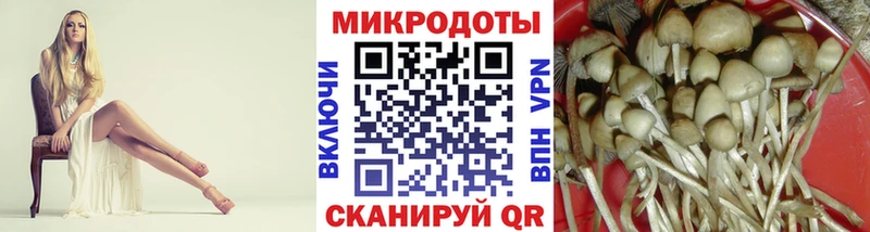 Псилоцибиновые грибы Psilocybine cubensis Енисейск